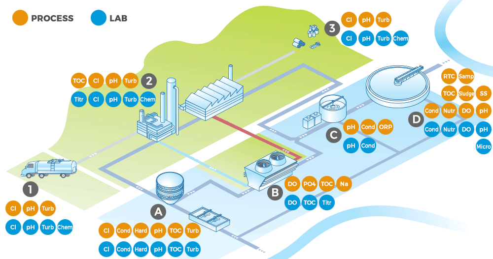 Interactive Food Plant