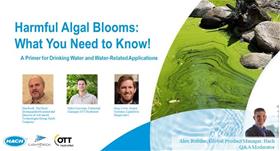 Harmful Algal Blooms: What you need to know